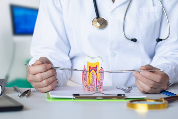 Best Emergency Dental Care for Sports Injuries in Champlin, MN